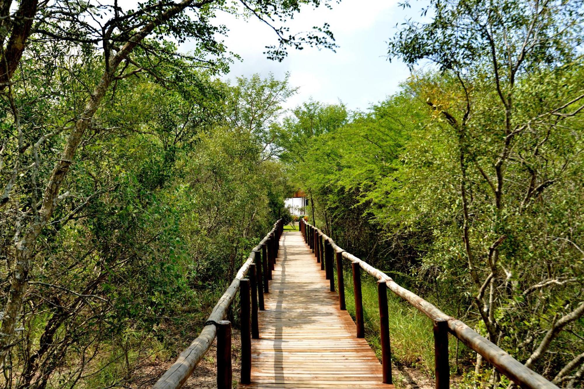 Kruger Safari Lodge Manyeleti Game Reserve Exterior foto