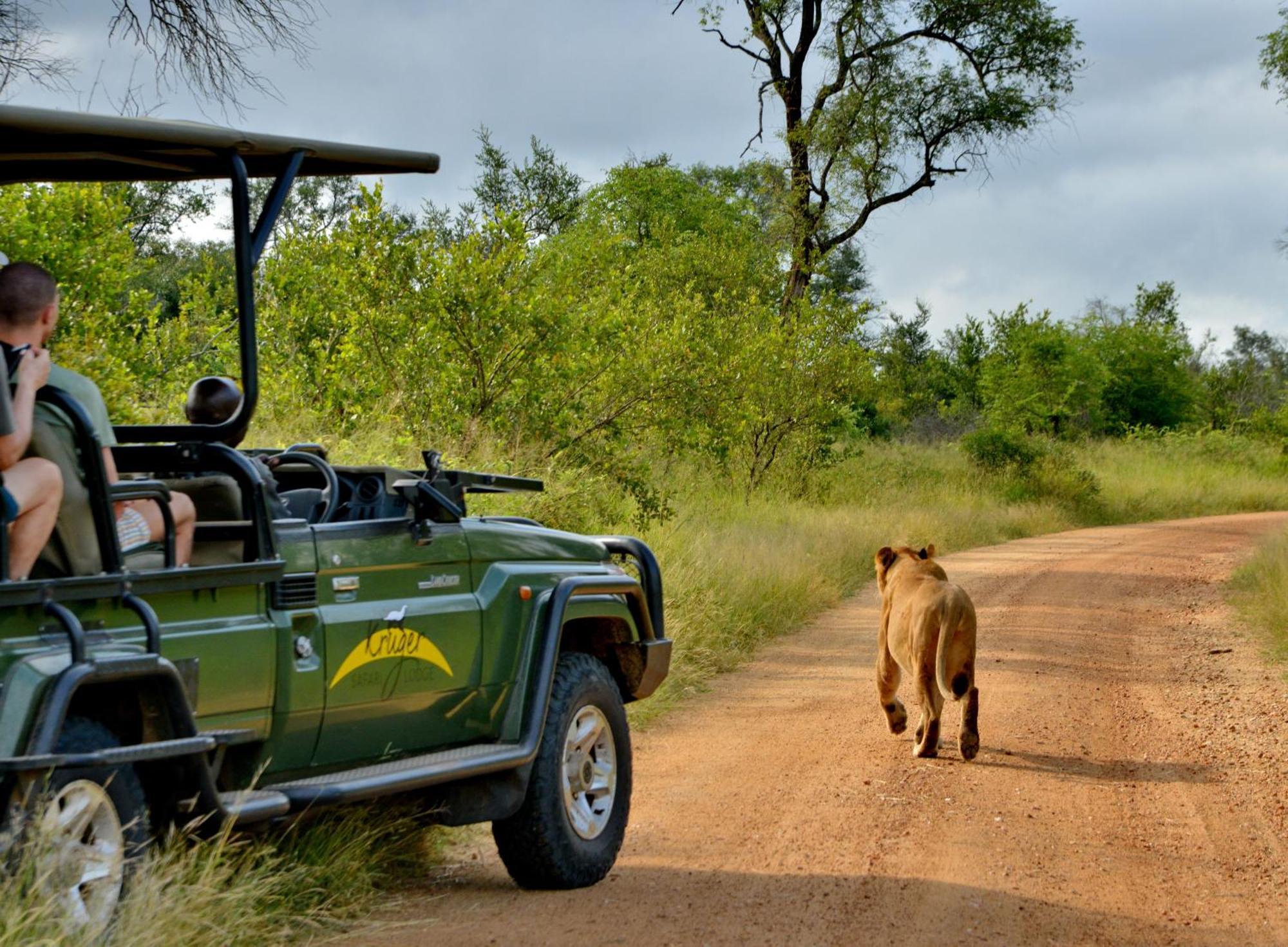 Kruger Safari Lodge Manyeleti Game Reserve Exterior foto
