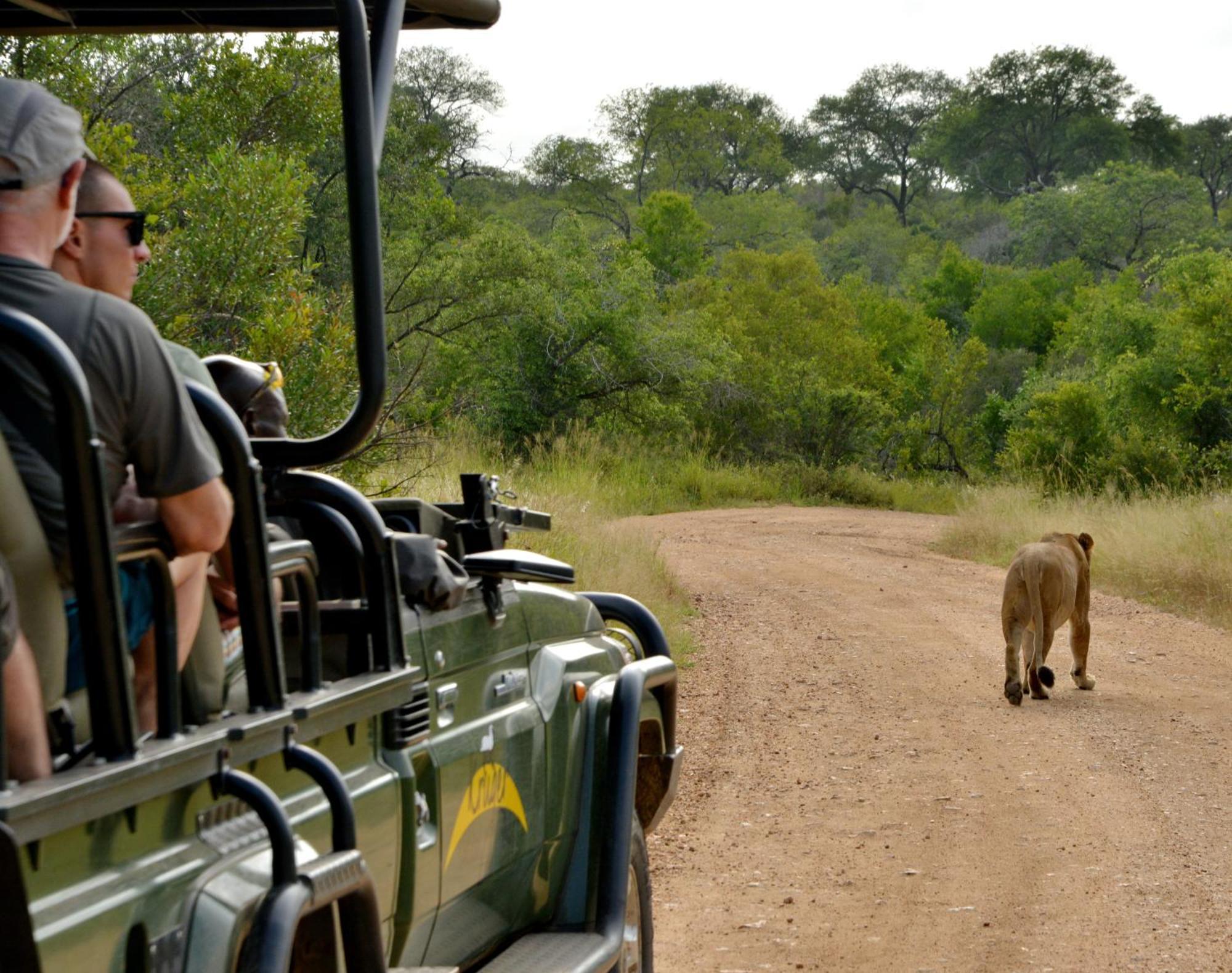 Kruger Safari Lodge Manyeleti Game Reserve Exterior foto